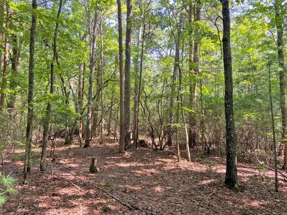 11AC T S Jarrard Road Dahlonega, GA 30533