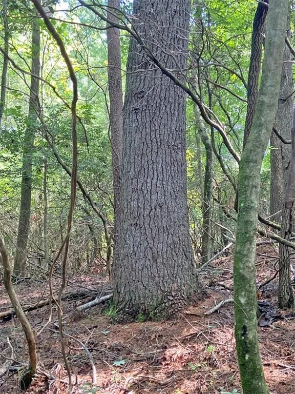 11AC T S Jarrard Road Dahlonega, GA 30533