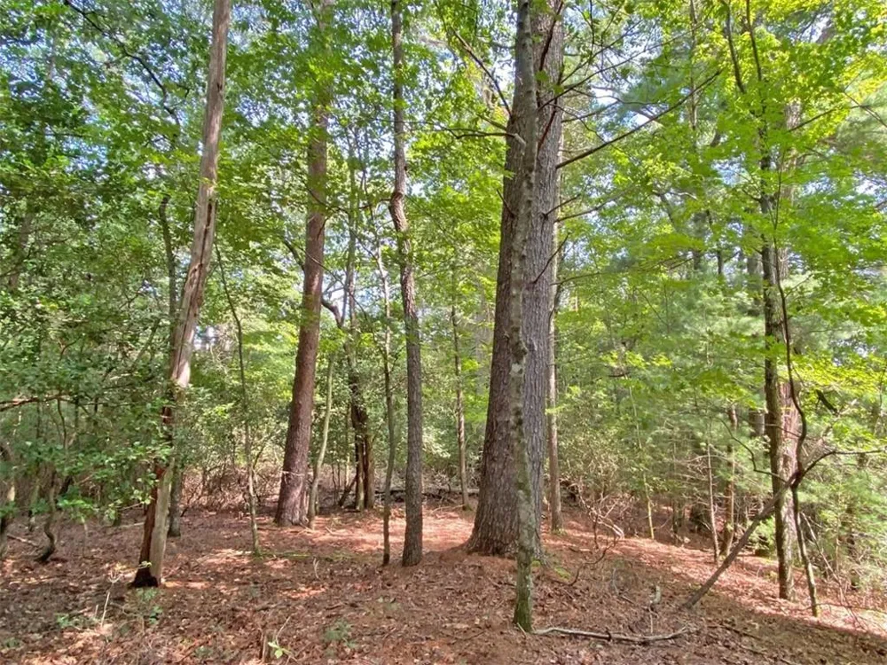 11AC T S Jarrard Road Dahlonega, GA 30533