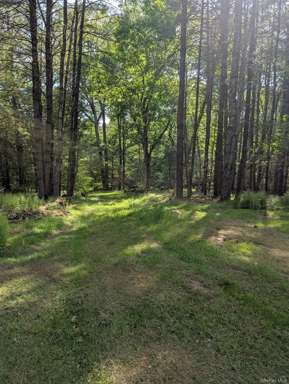 807 Beaver Brook Road Narrowsburg, NY 12764