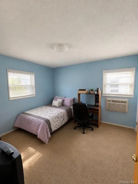 1349 E 103rd Street Brooklyn, NY 11236