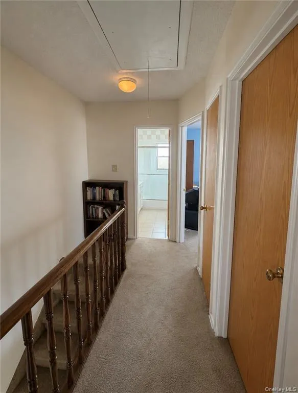 1349 E 103rd Street Brooklyn, NY 11236