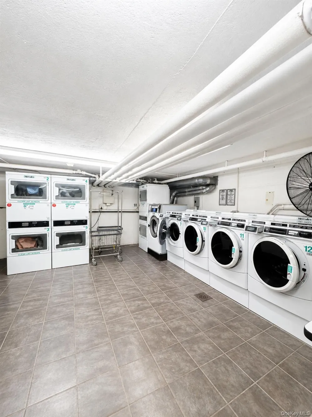 43 1/2 Carpenter Avenue #D Mount Kisco, NY 10549