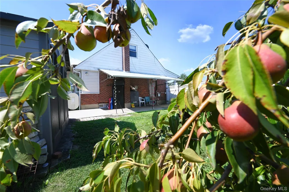 1 Douglas Drive East Meadow, NY 11554