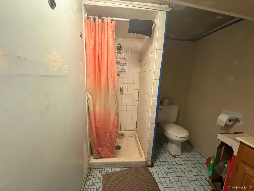 13619 220th Place Springfield Gardens, NY 11413
