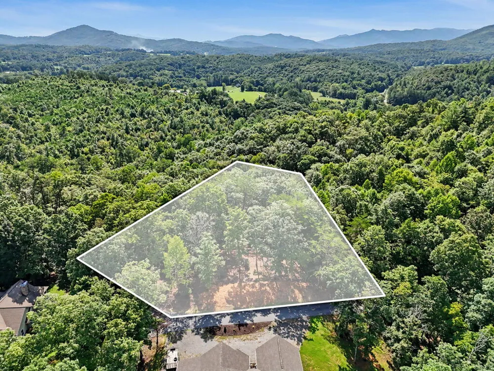 Lot 11 Brasstown Trails Warne, NC 28909