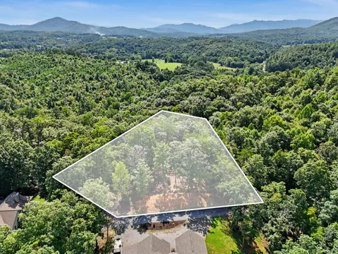 Lot 11 Brasstown Trails