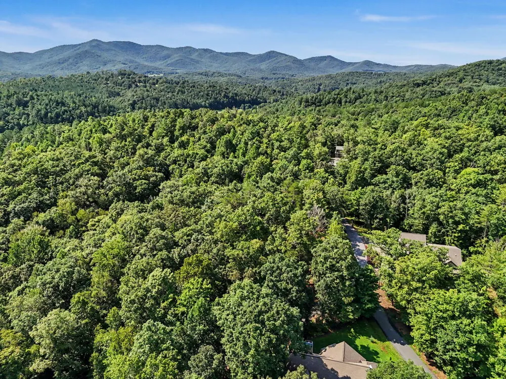 Lot 11 Brasstown Trails Warne, NC 28909