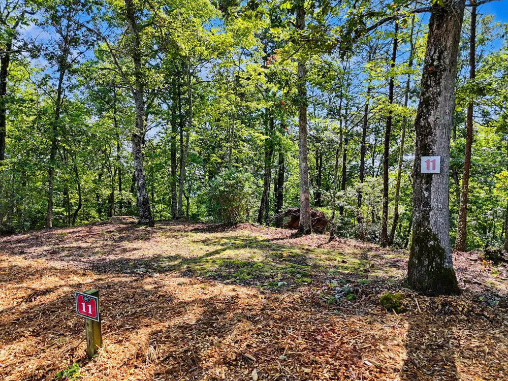 Lot 11 Brasstown Trails Warne, NC 28909