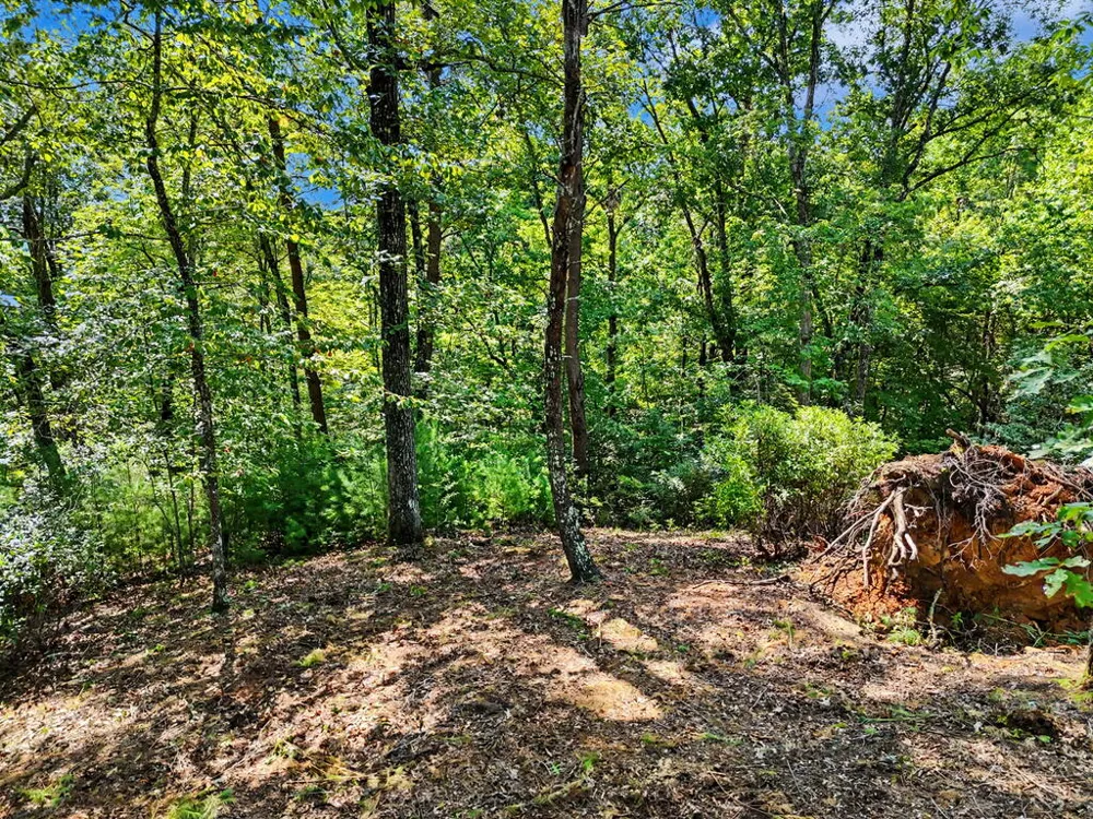 Lot 11 Brasstown Trails Warne, NC 28909