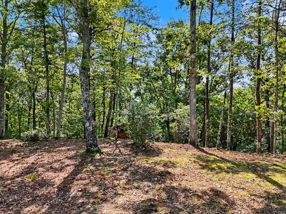 Lot 11 Brasstown Trails Warne, NC 28909