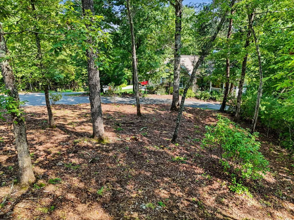 Lot 11 Brasstown Trails Warne, NC 28909