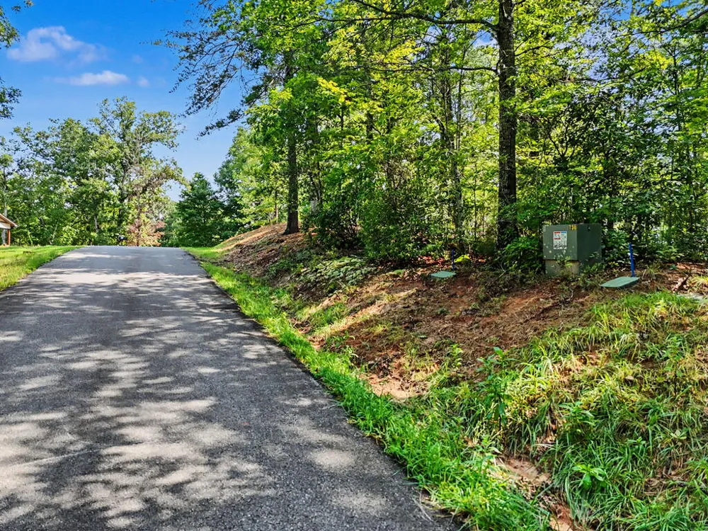 Lot 11 Brasstown Trails Warne, NC 28909