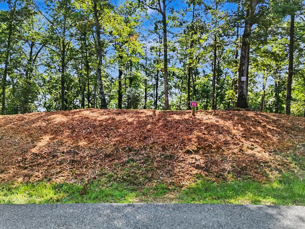 Lot 11 Brasstown Trails Warne, NC 28909