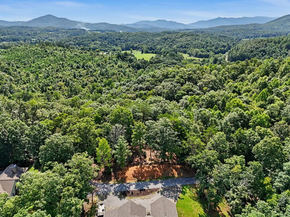 Lot 11 Brasstown Trails Warne, NC 28909