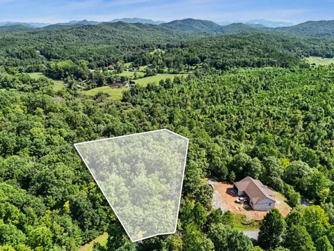 Lot 2 Brasstown Trails