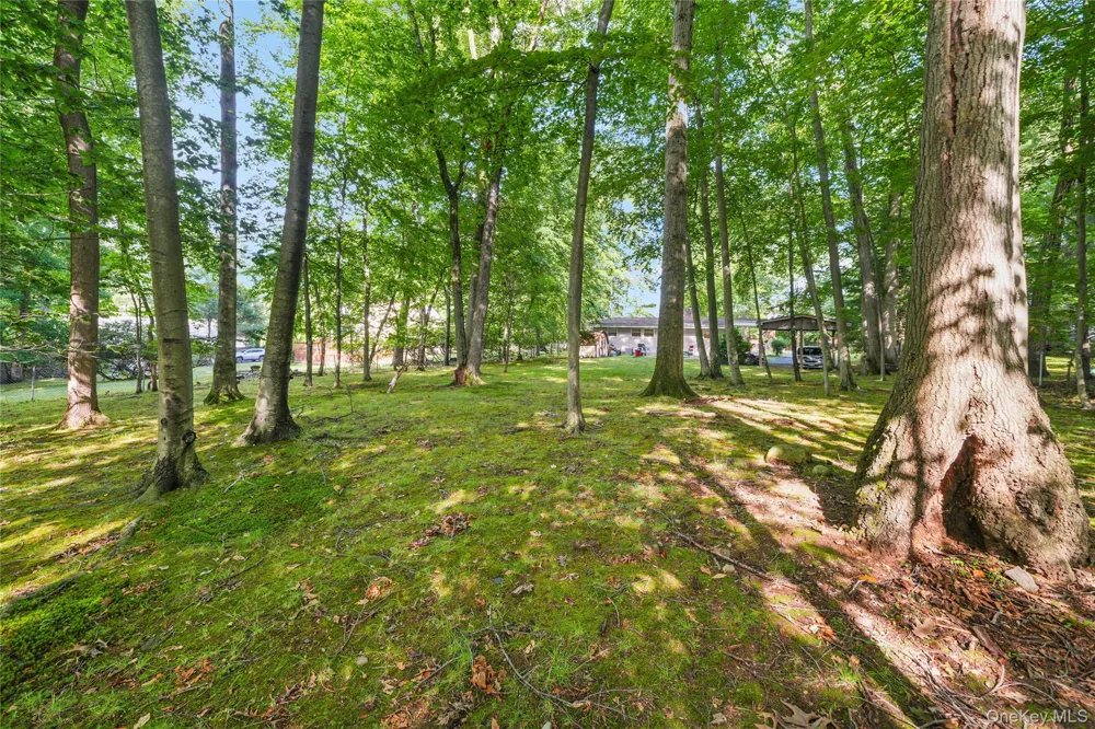 29 Fay Road New City, NY 10956