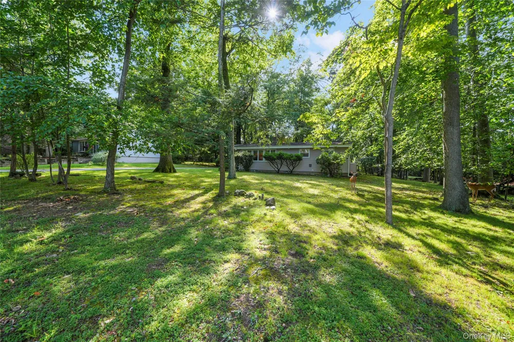 29 Fay Road New City, NY 10956
