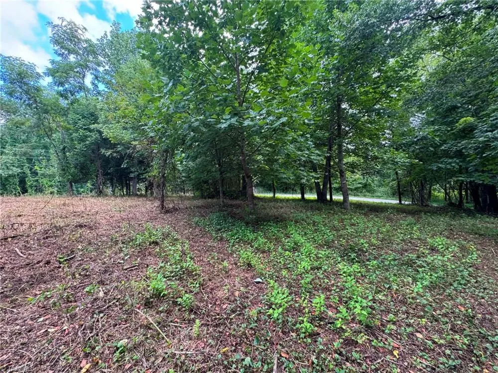 TBD Wind Ridge Road Sparta, NC 28675