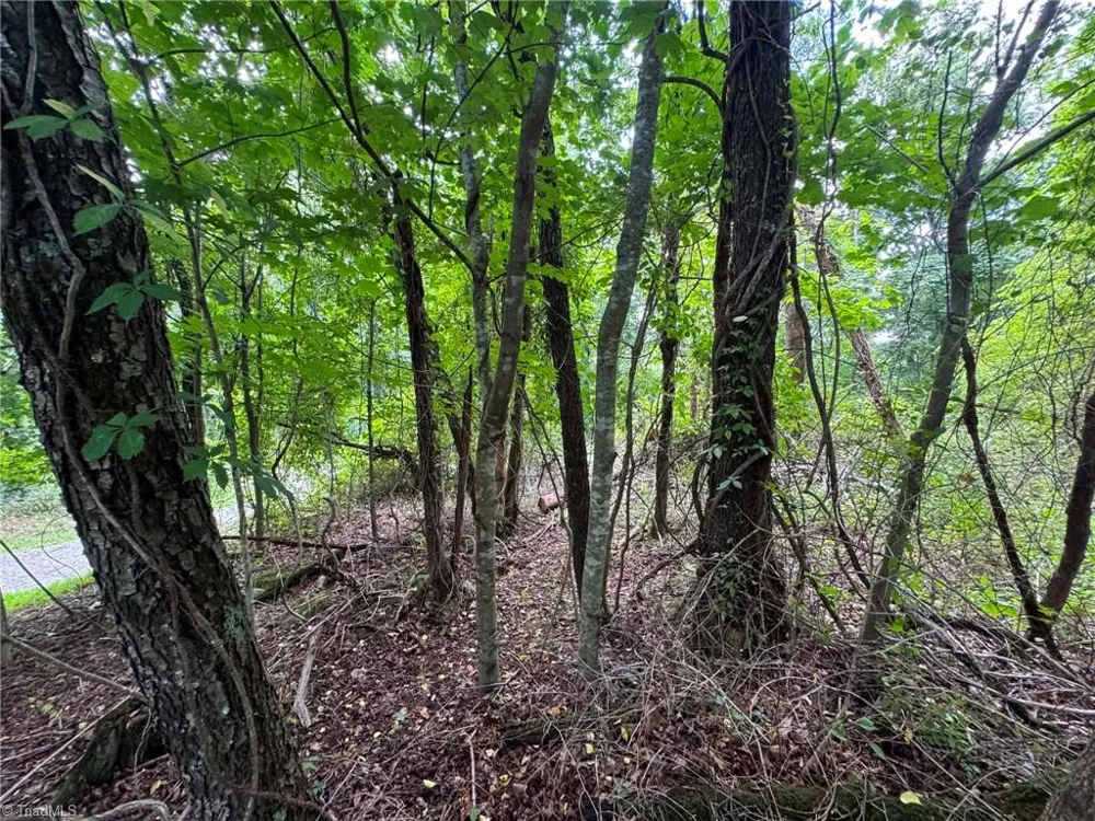 TBD Wind Ridge Road Sparta, NC 28675