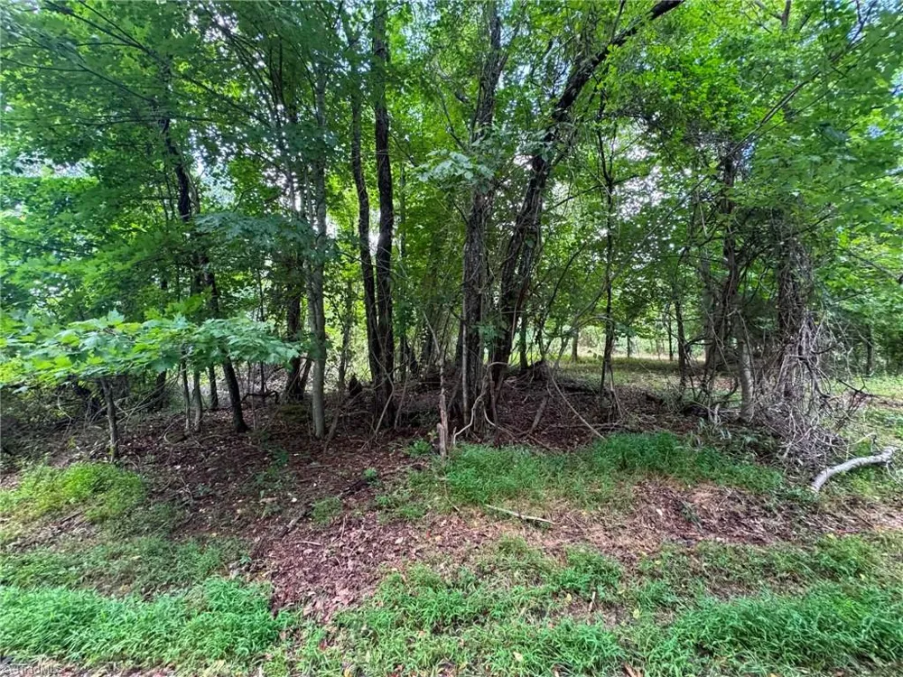 TBD Wind Ridge Road Sparta, NC 28675