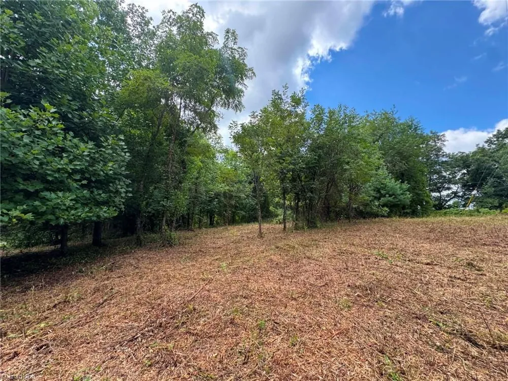TBD Wind Ridge Road Sparta, NC 28675