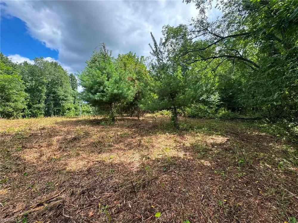 TBD Wind Ridge Road Sparta, NC 28675