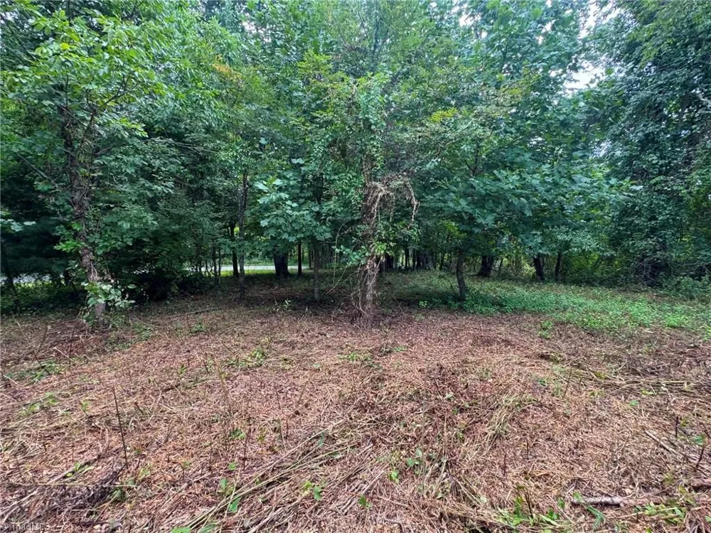 TBD Wind Ridge Road Sparta, NC 28675