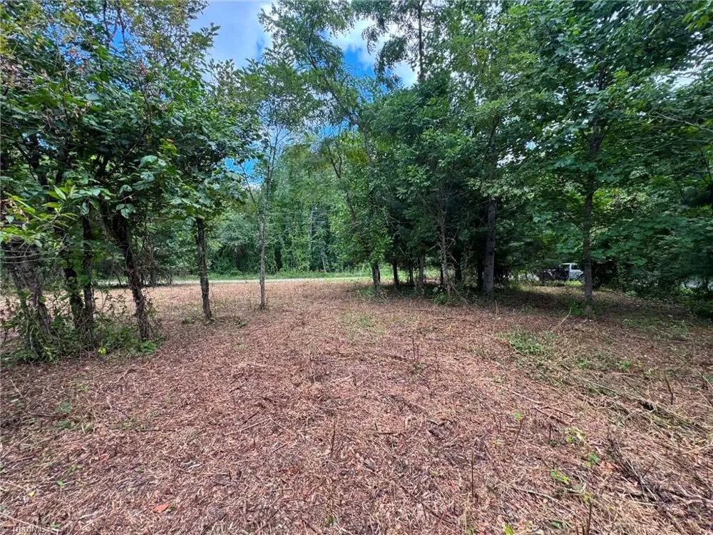 TBD Wind Ridge Road Sparta, NC 28675