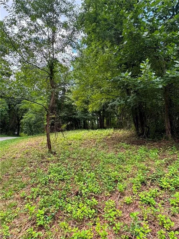 TBD Wind Ridge Road Sparta, NC 28675