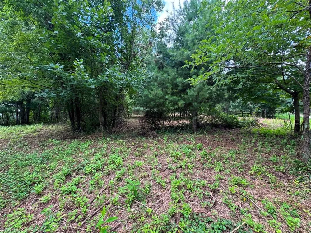 TBD Wind Ridge Road Sparta, NC 28675