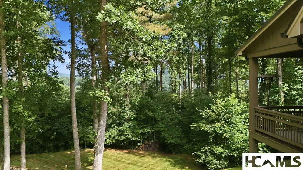 91 Springhouse Drive Cashiers, NC 28717