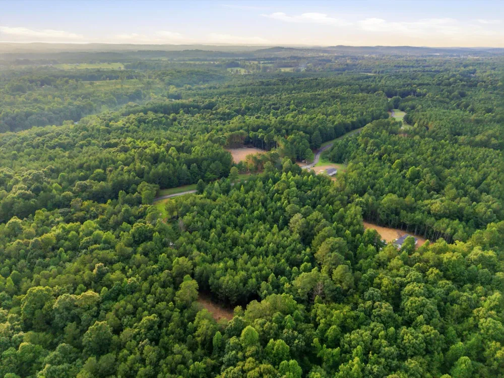 Washboard Road Old Fort, TN 37362