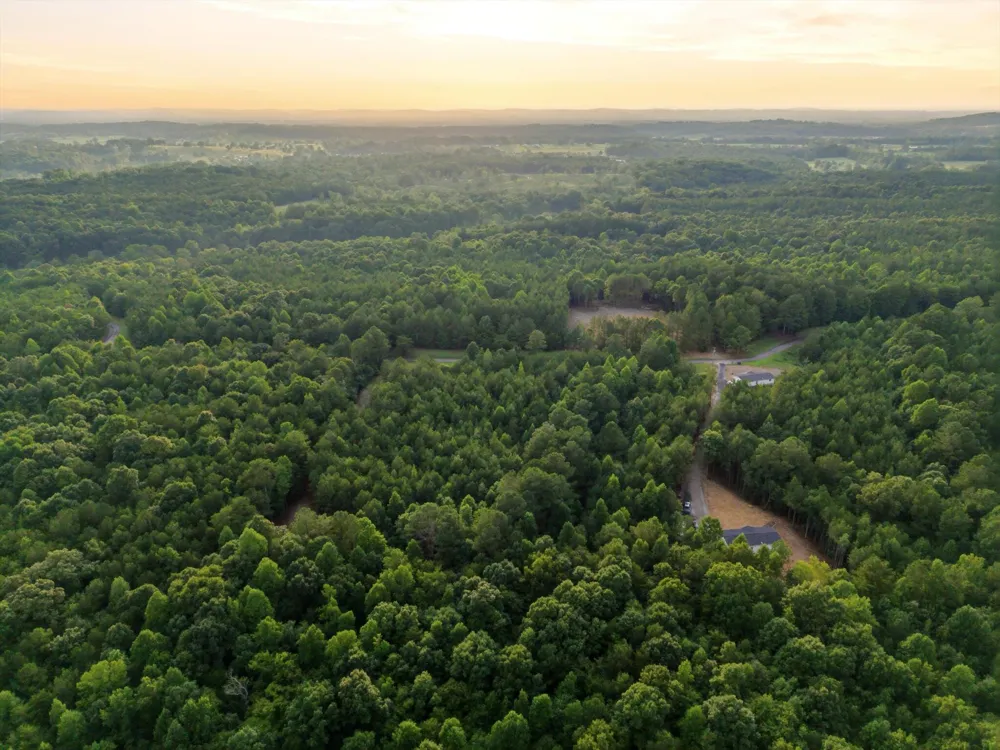 Washboard Road Old Fort, TN 37362
