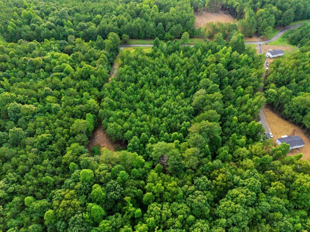 Washboard Road Old Fort, TN 37362