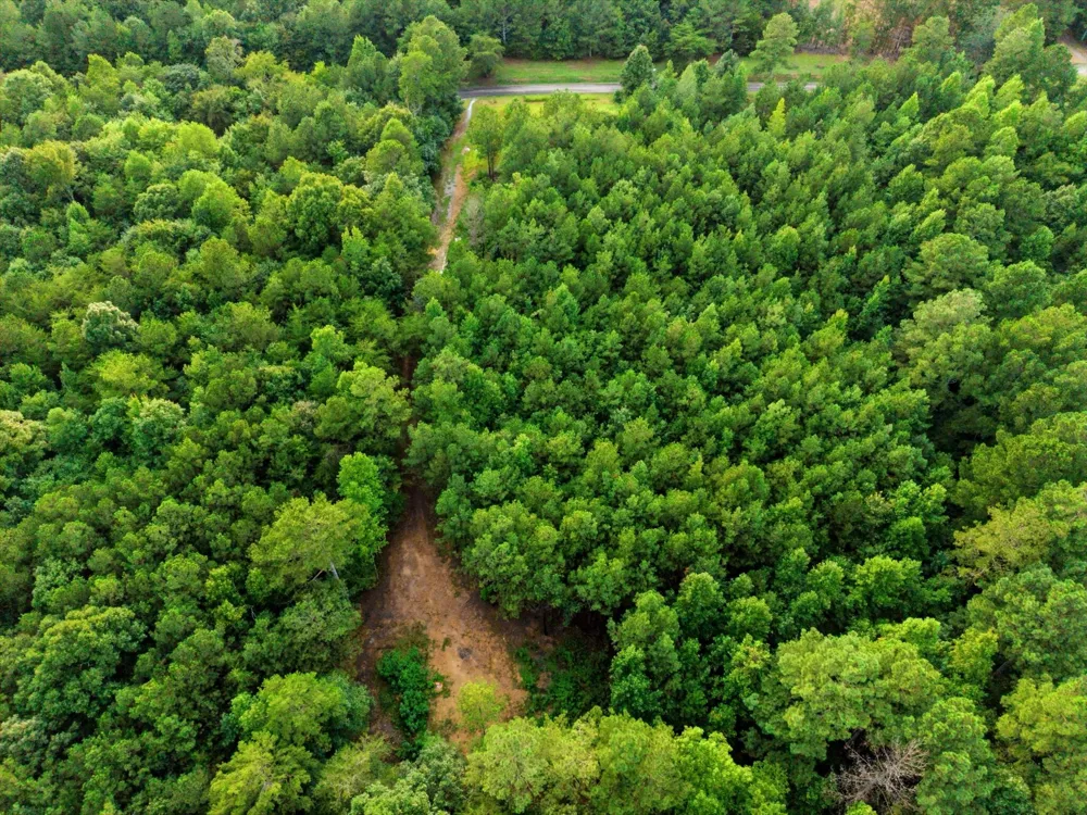Washboard Road Old Fort, TN 37362