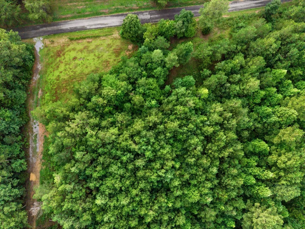 Washboard Road Old Fort, TN 37362