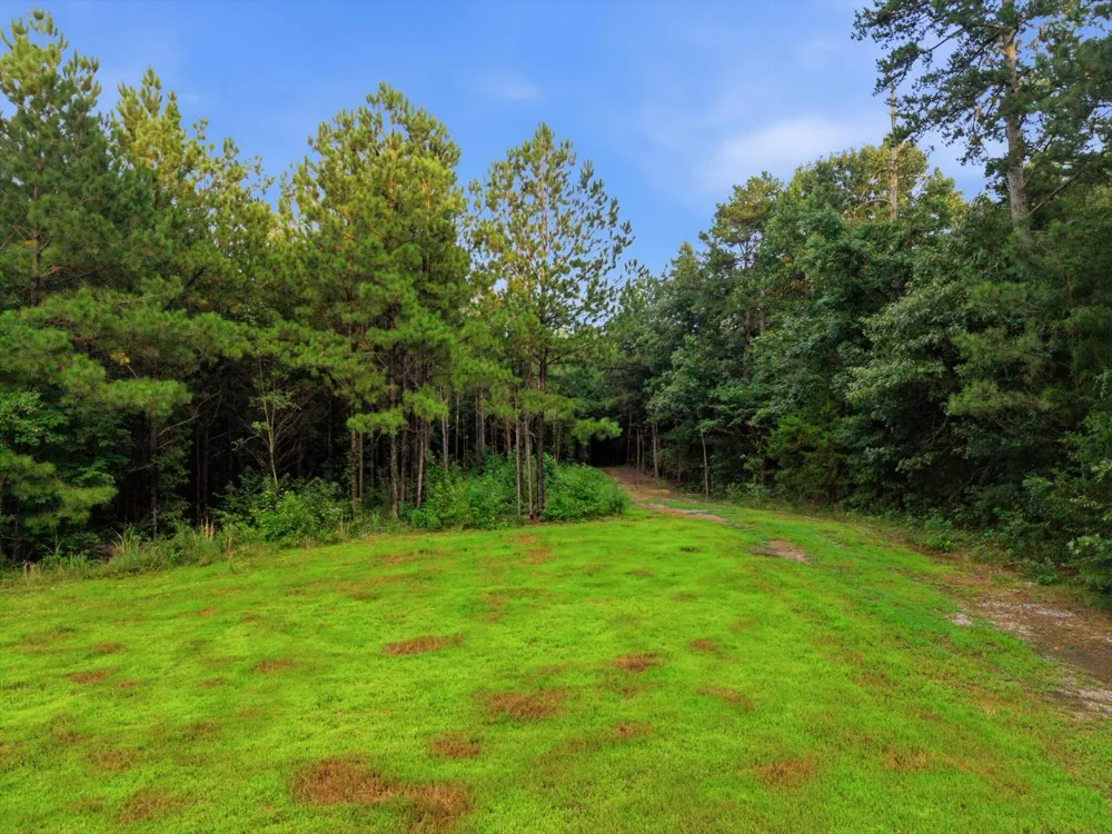 Washboard Road Old Fort, TN 37362
