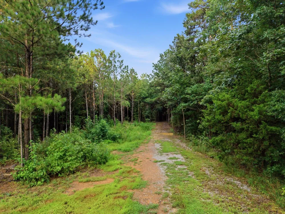 Washboard Road Old Fort, TN 37362