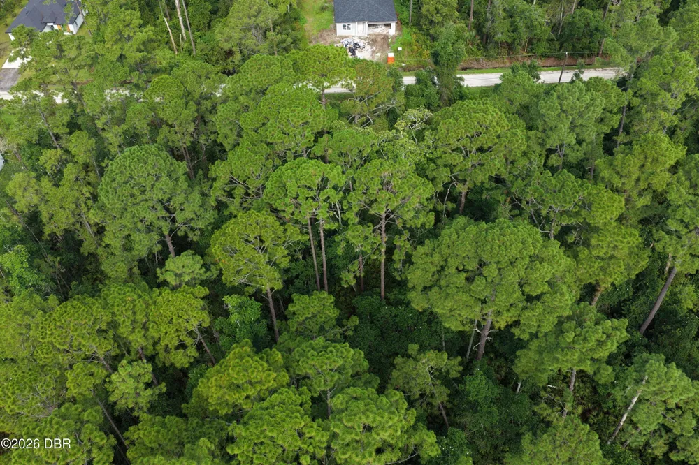 E Jasmine Road Deland, FL 32724