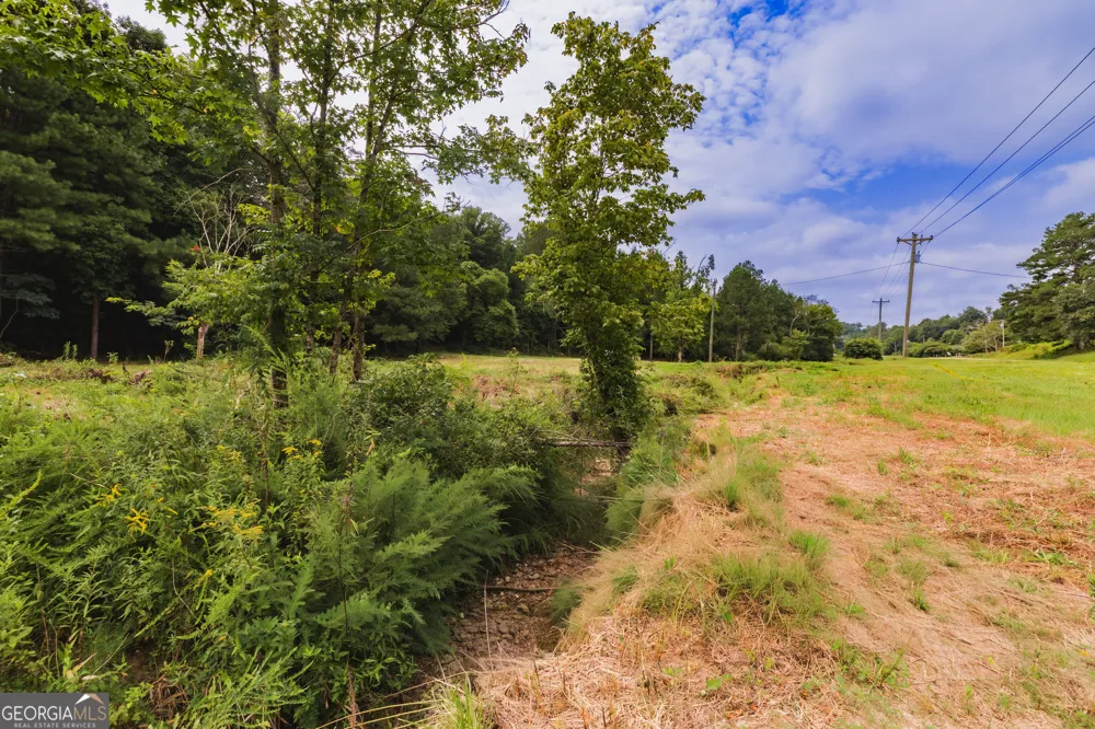 1910 Ridgeway RD Trion, GA 30753