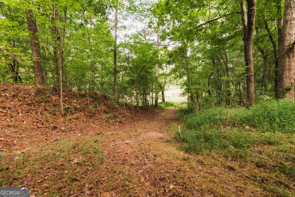 1910 Ridgeway RD Trion, GA 30753
