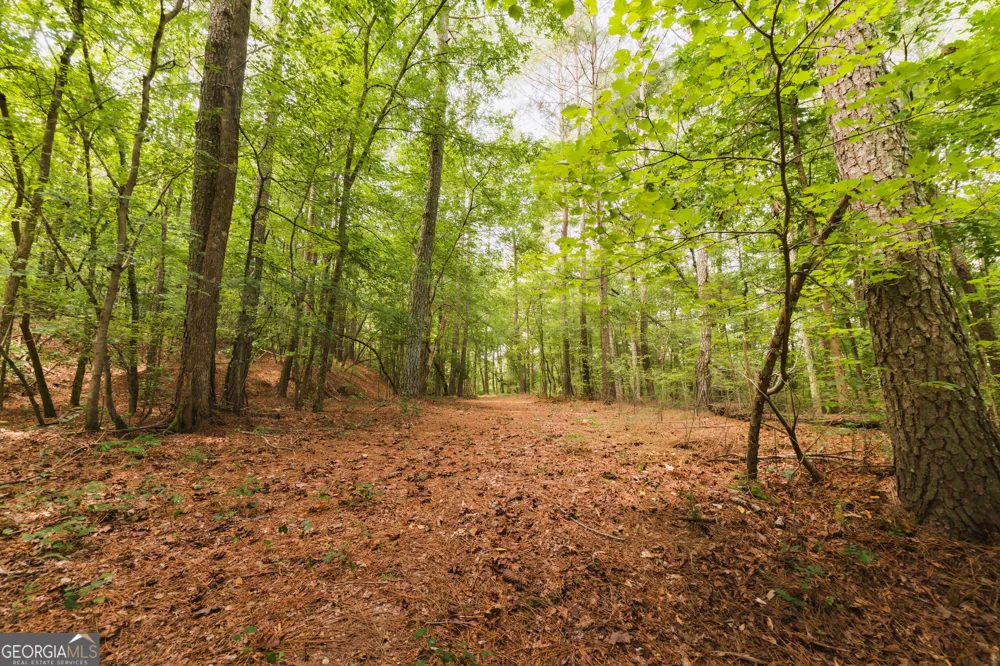 1910 Ridgeway RD Trion, GA 30753