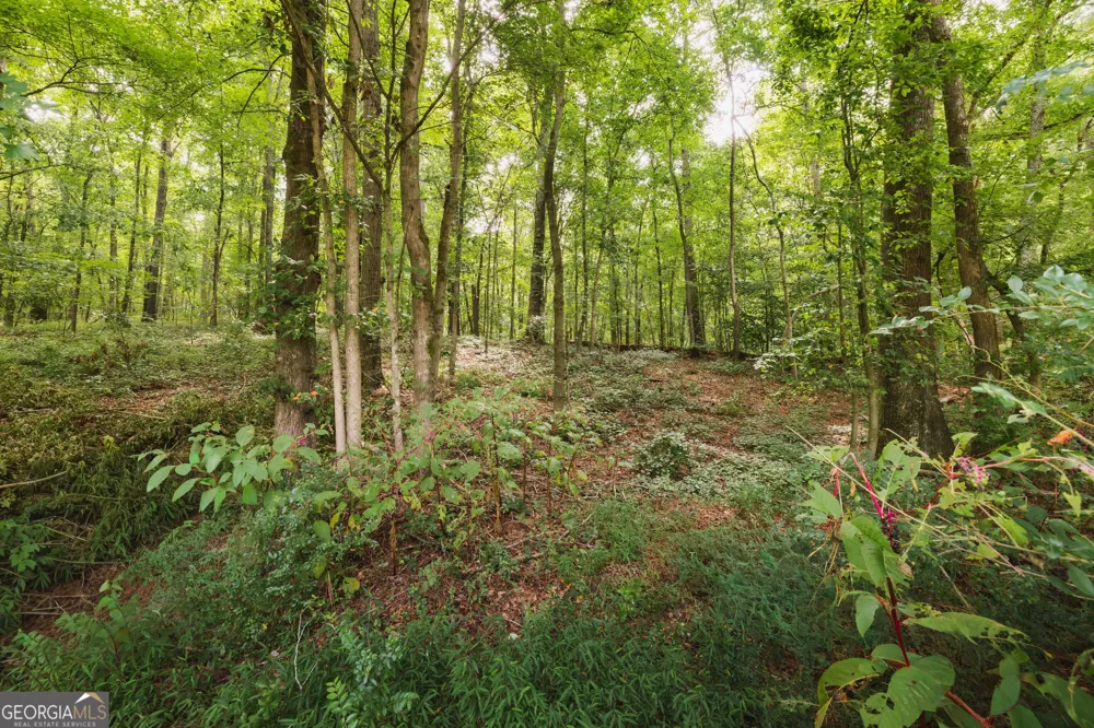 1910 Ridgeway RD Trion, GA 30753