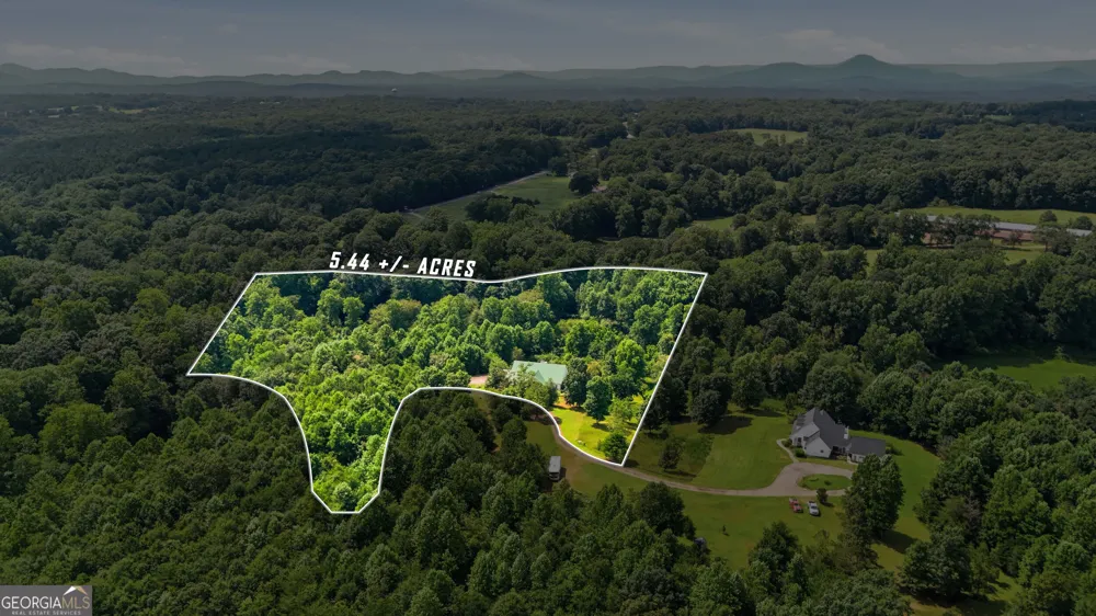 315 Duncan Bridge LN Cornelia, GA 30531