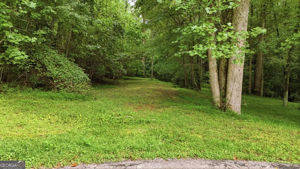 315 Duncan Bridge LN Cornelia, GA 30531