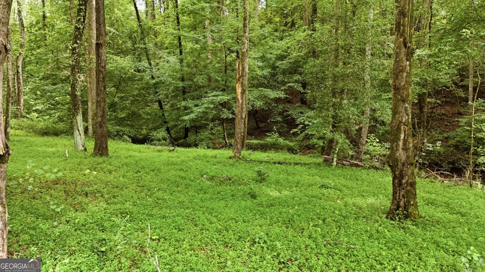 315 Duncan Bridge LN Cornelia, GA 30531