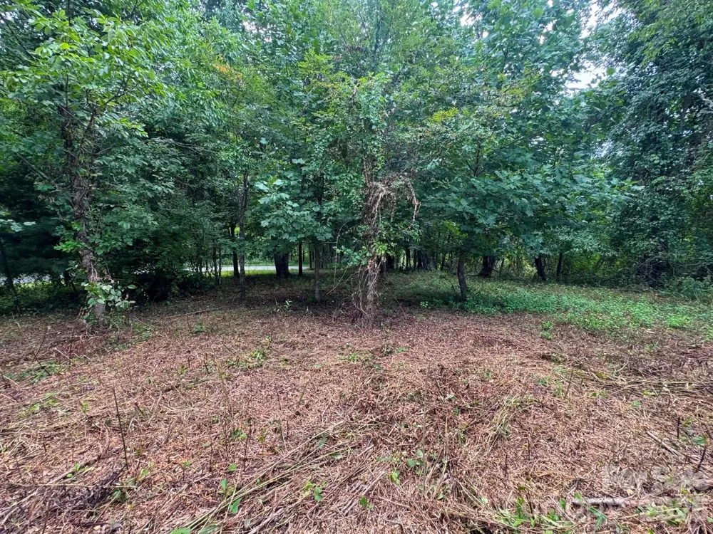 TBD Wind Ridge Road Sparta, NC 28675