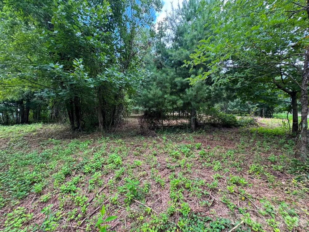 TBD Wind Ridge Road Sparta, NC 28675