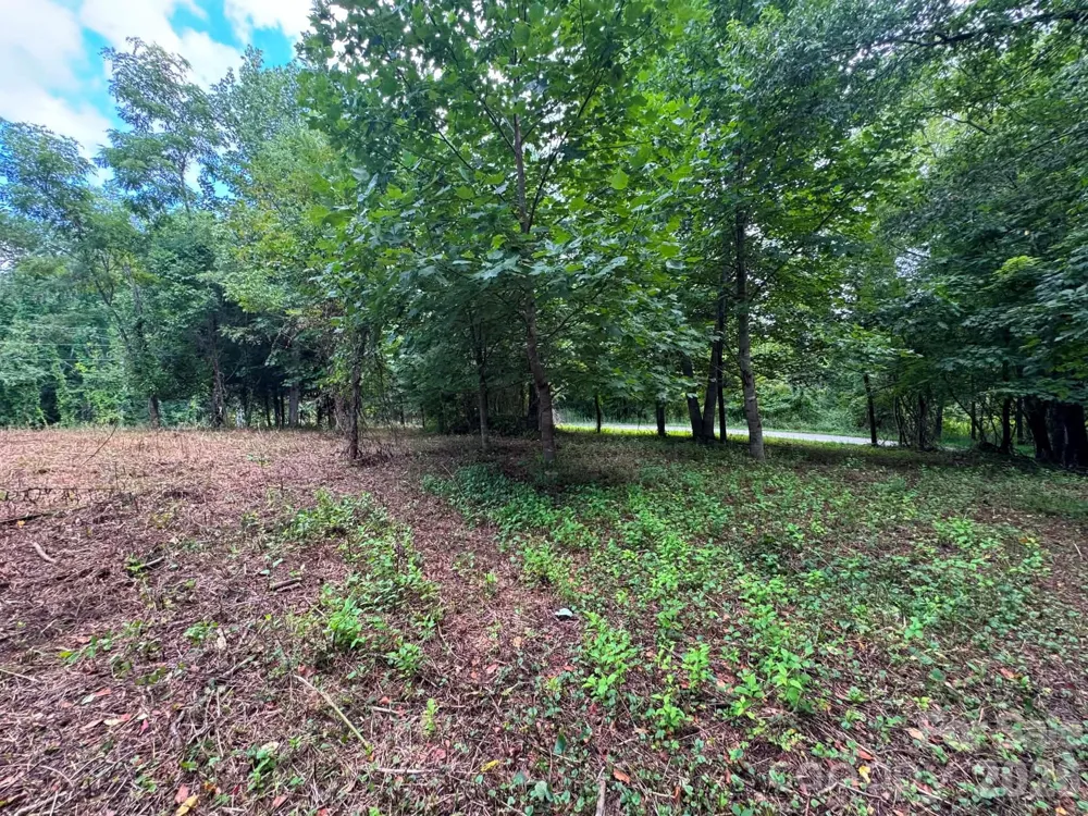 TBD Wind Ridge Road Sparta, NC 28675